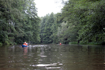 Kanufahrt auf dem Südumfluter, so heißt dieser Kanal hier auf dem Bild mit den Kanus im Spreewald.